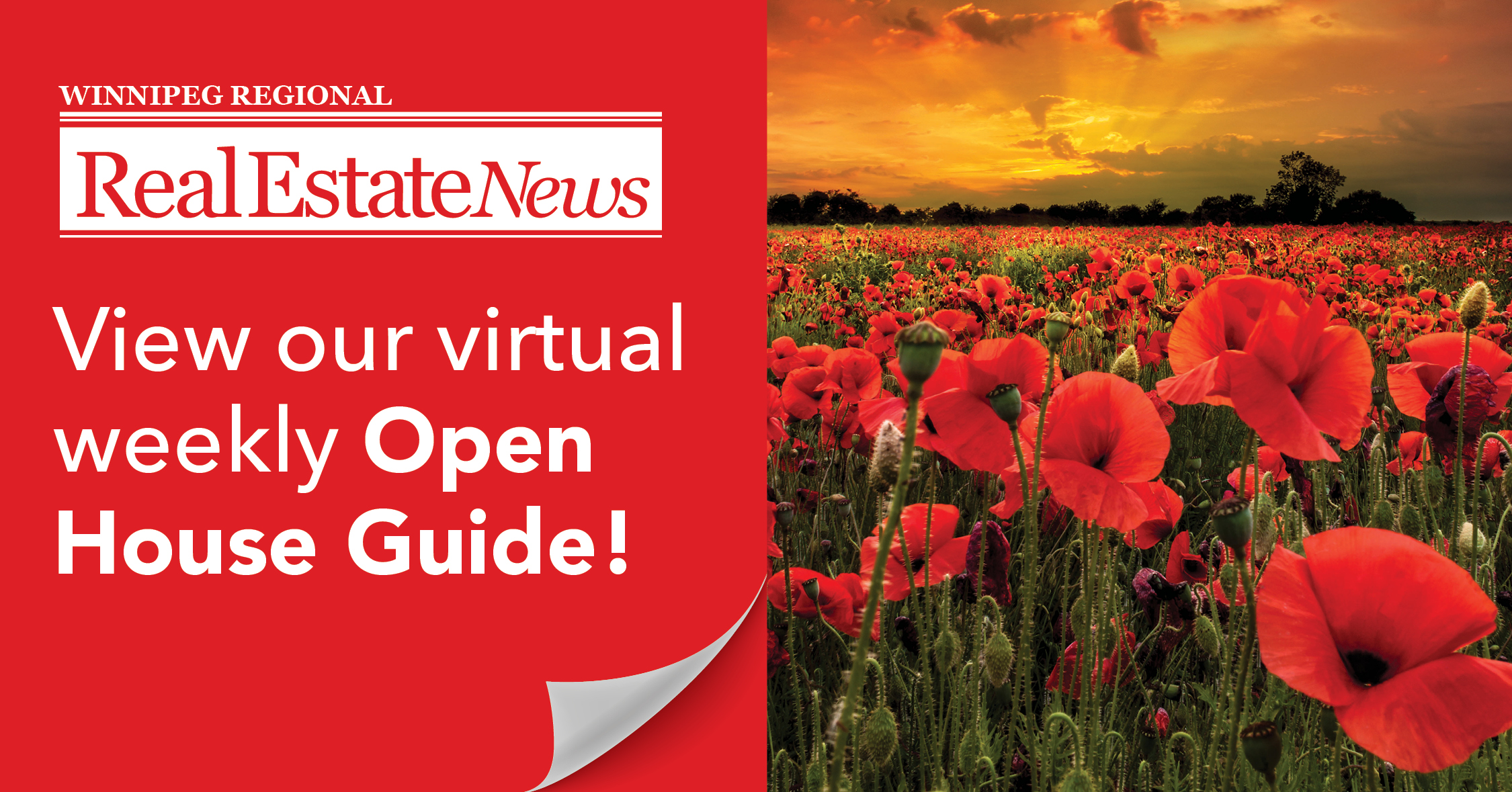 OH Guide Nov 7.jpg (1.51 MB)